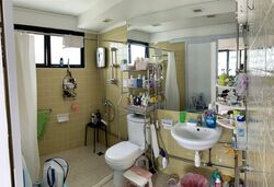 Laguna Park (D15), Apartment #540631551
